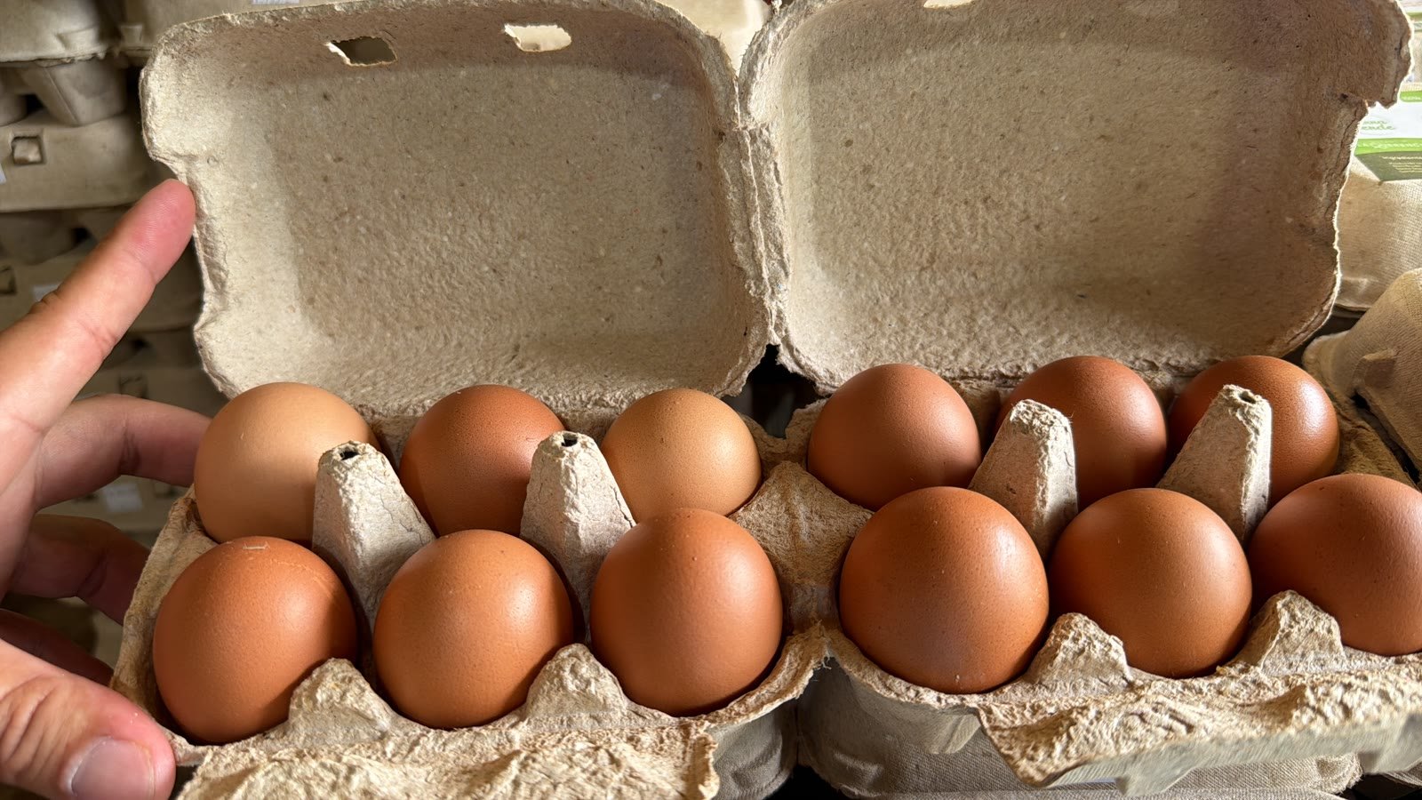 Cartón real de 12 huevos orgánicos Las Gallinas Happy Happy