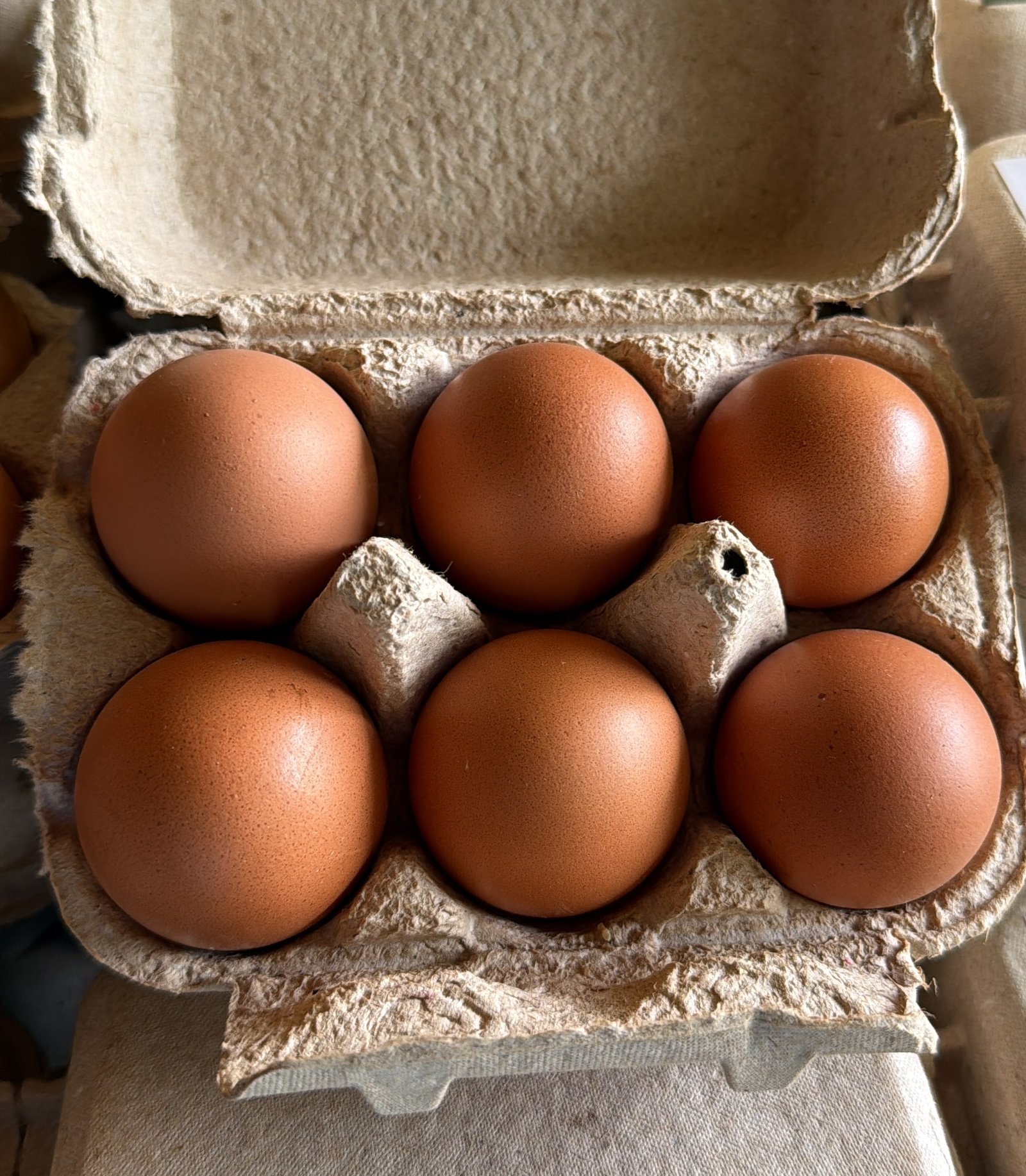 Cartón real de 6 huevos orgánicos Las Gallinas Happy Happy